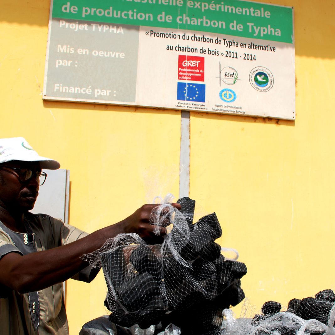 La Mauritanie valorise en bio-charbon une plante nuisible
